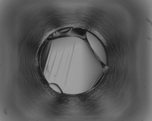 X0000091930628200710031059