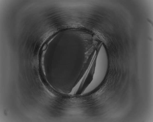 X0000091930630200710031059