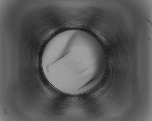 X0000091930631200710031059