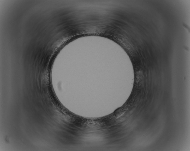 X0000091930632200710031059