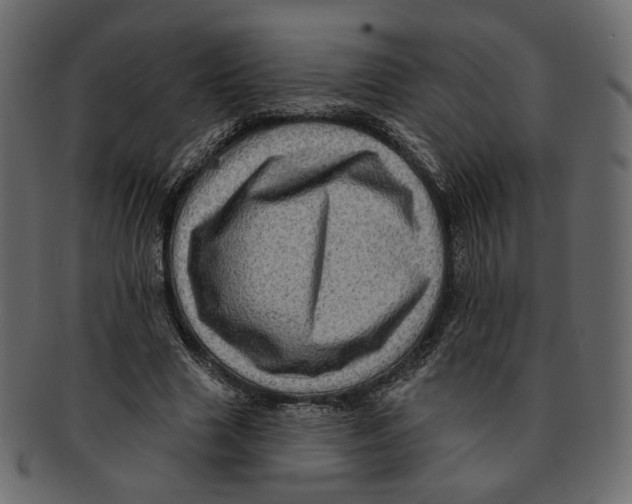 X0000091930633200710031059