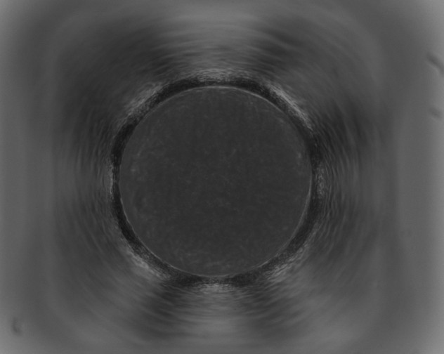 X0000091930637200710031059