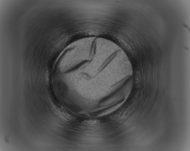 X0000091930639200710031059