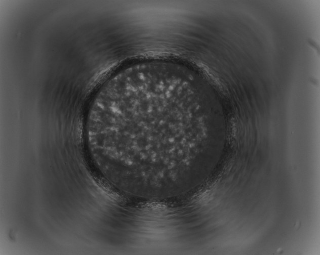 X0000091930640200710031059