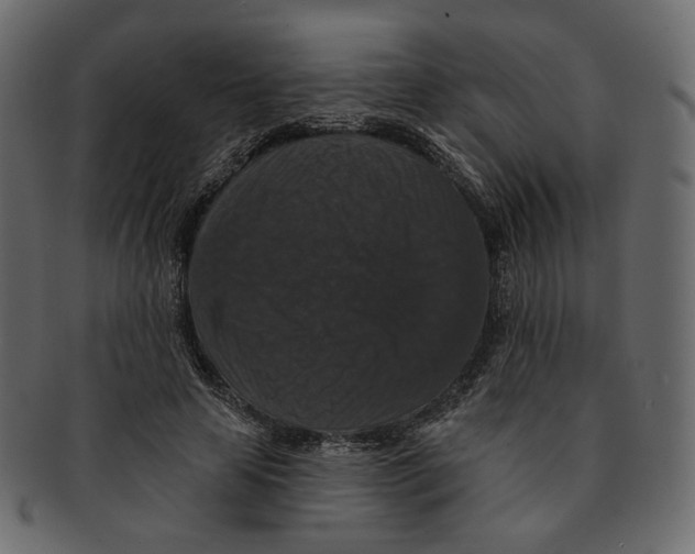 X0000091930641200710031059