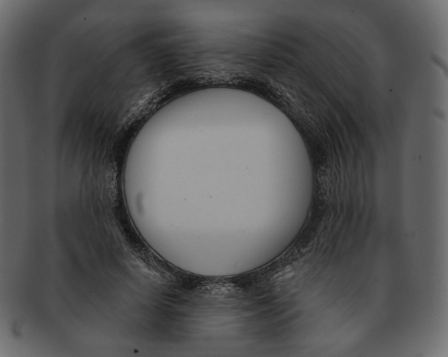 X0000091930642200710031059