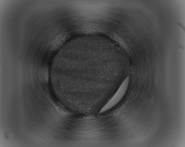 X0000091930644200710031059