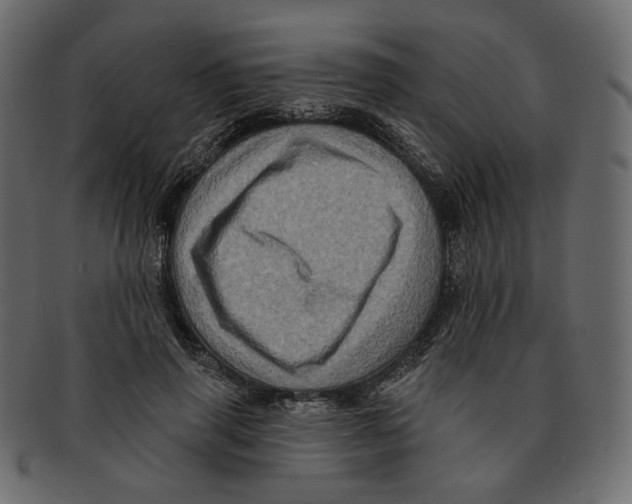 X0000091930645200710031059