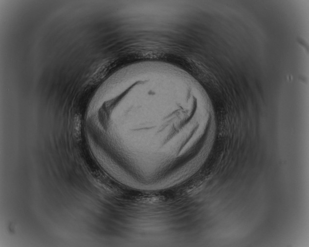 X0000091930646200710031059