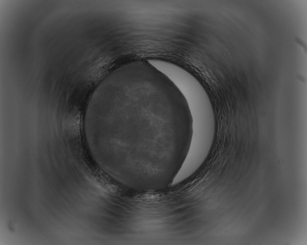 X0000091930647200710031059