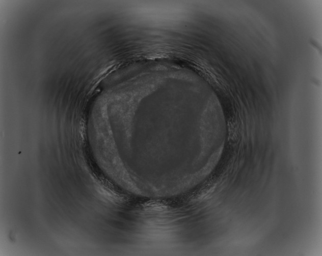 X0000091930648200710031100