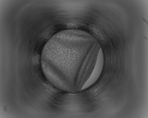 X0000091930649200710031100