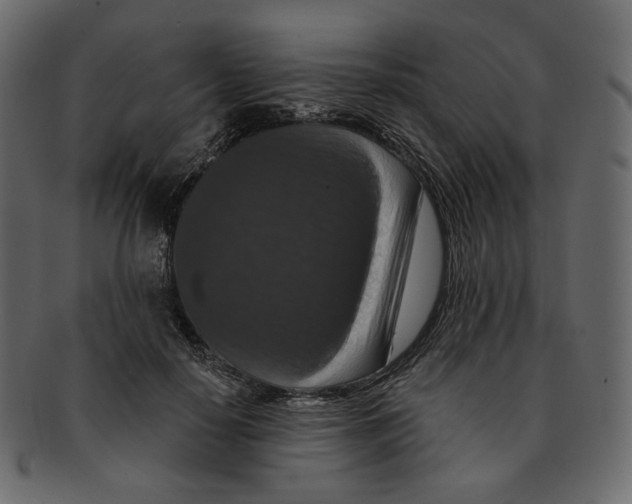 X0000091930650200710031100