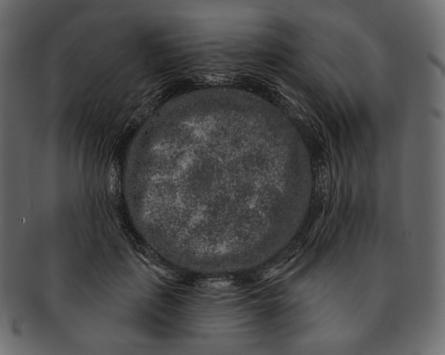 X0000091930651200710031100