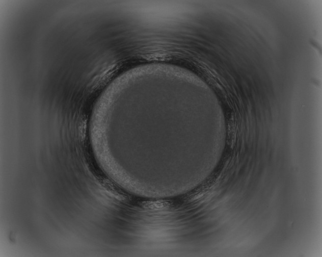 X0000091930652200710031100