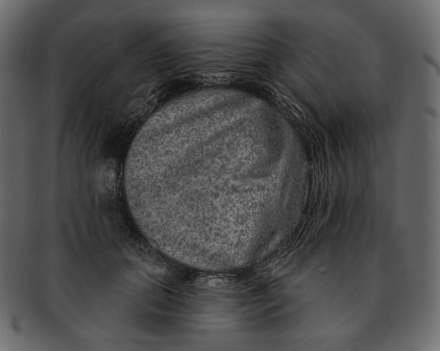 X0000091930655200710031100