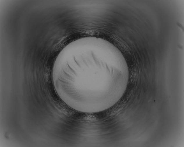 X0000091930656200710031100