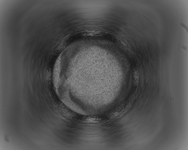 X0000091930657200710031100