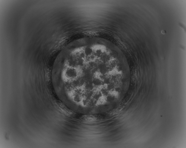 X0000091930658200710031100