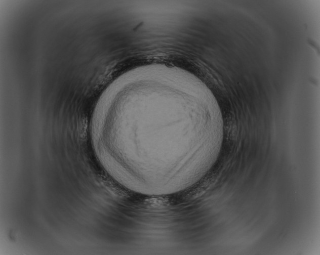 X0000091930660200710031100