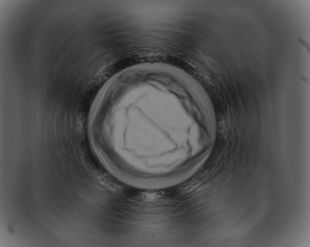 X0000091930662200710031100