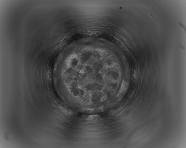 X0000091930663200710031100