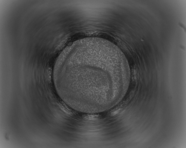 X0000091930664200710031100