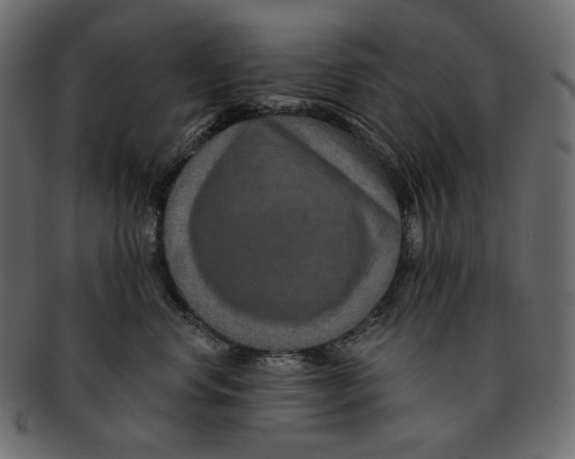 X0000091930668200710031100