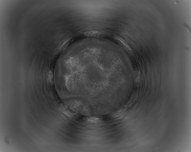 X0000091930669200710031100