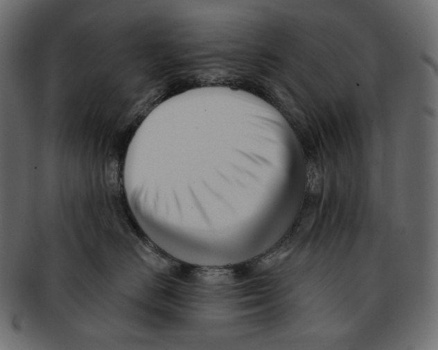 X0000091930670200710031100