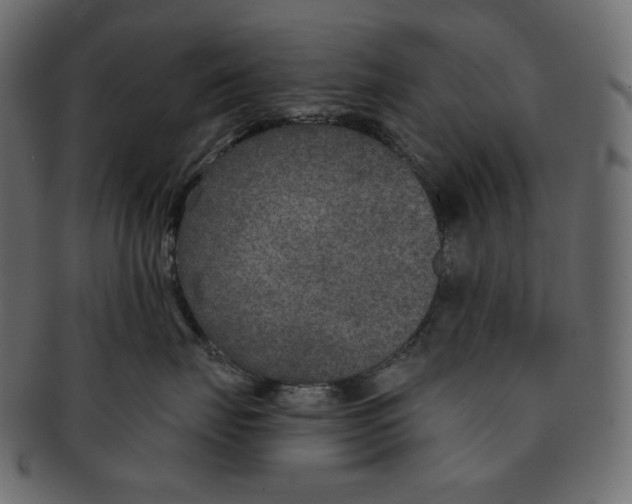 X0000091930671200710031100