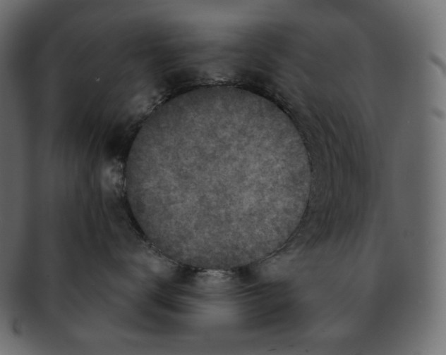 X0000091930672200710031100