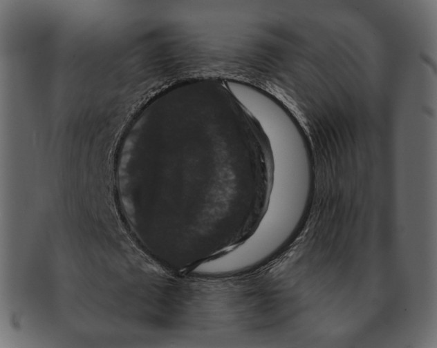 X0000091930673200710031059