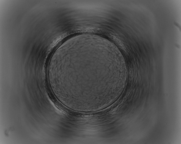 X0000091930674200710031059