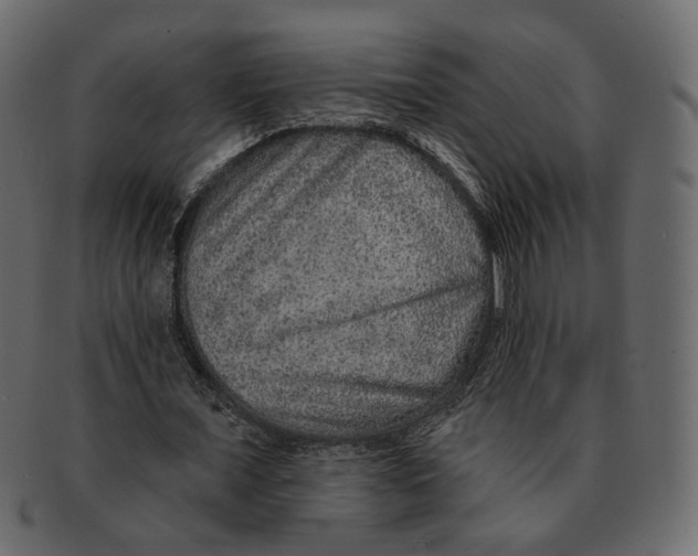 X0000091930675200710031059