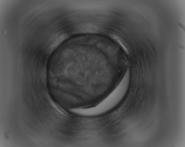 X0000091930677200710031059