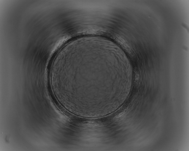 X0000091930678200710031059