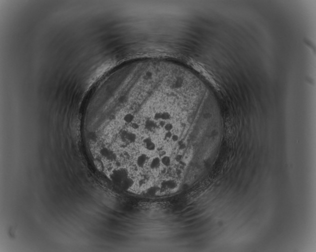 X0000091930679200710031059