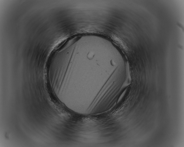 X0000091930680200710031059