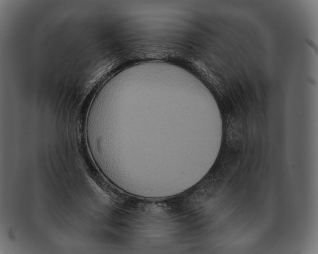 X0000091930683200710031059