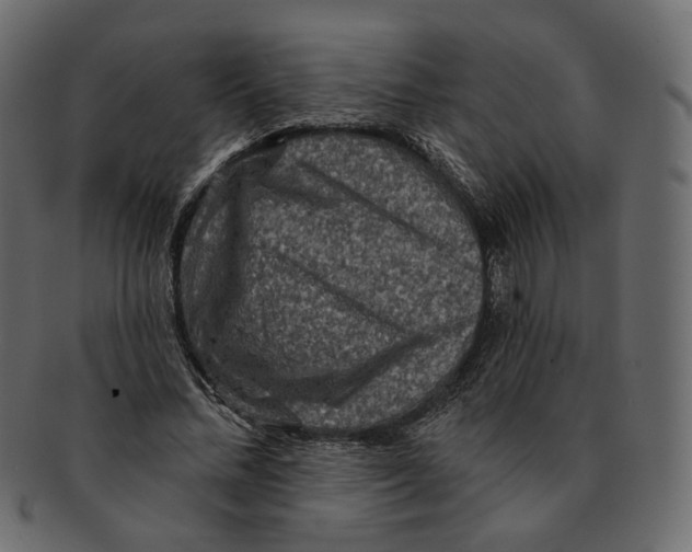 X0000091930684200710031059