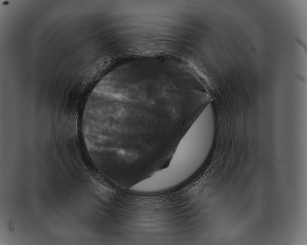 X0000091930685200710031059