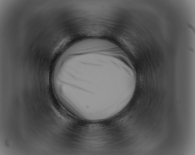 X0000091930686200710031059