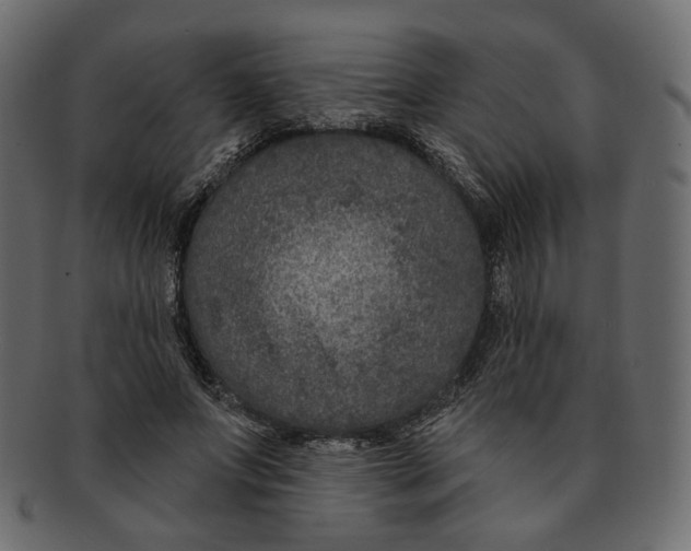 X0000091930687200710031059