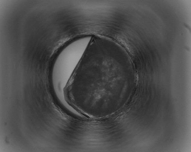 X0000091930688200710031059