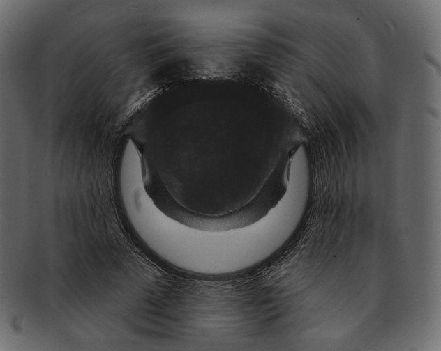 X0000091930689200710031059