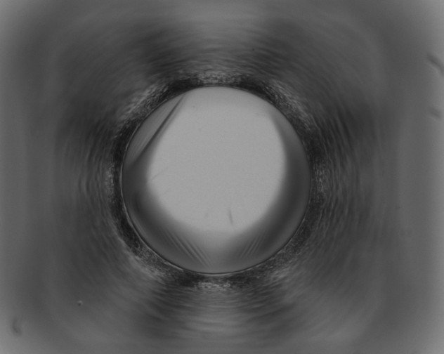 X0000091930690200710031059