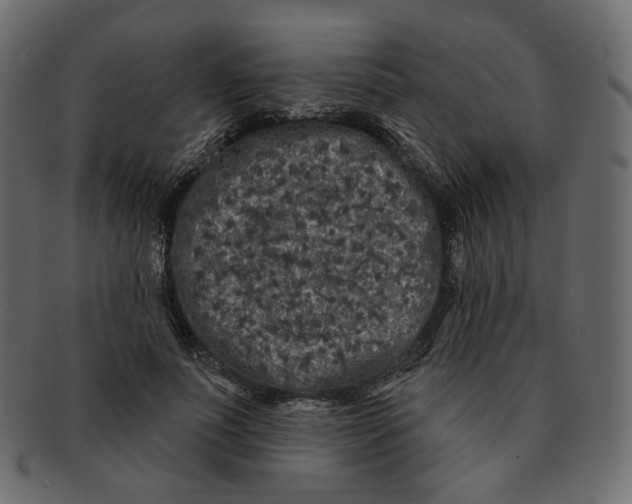 X0000091930691200710031059