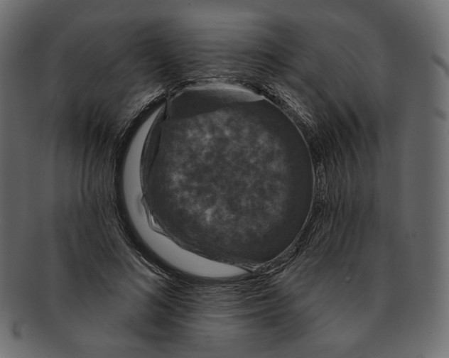 X0000091930692200710031059