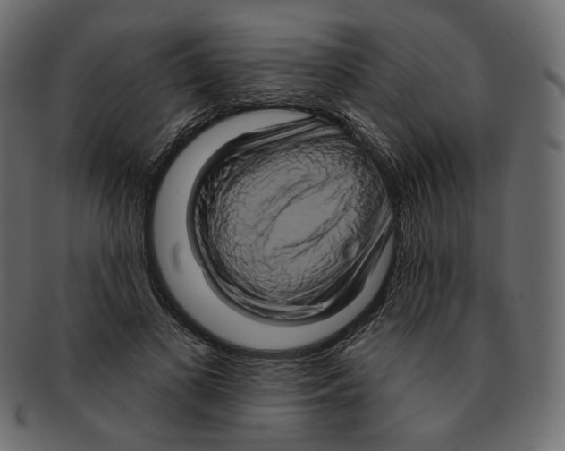 X0000091930693200710031059